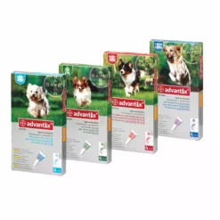 Advantix Spot-On For Dogs