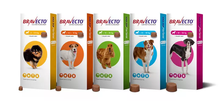 Bravecto Flea Treatments For Cats & Dogs