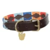 Digby & Fox Drover Polo Dog Collar Turquoise/Red/Orange/Blue