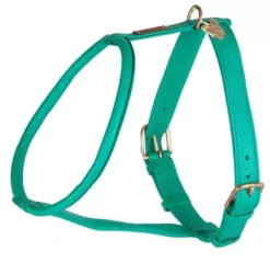 Digby & Fox Rolled Leather Dog Harness Teal