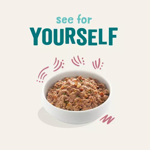 Edgard & Cooper Grain Free Duck & Chicken Puppy Trays - Image 4