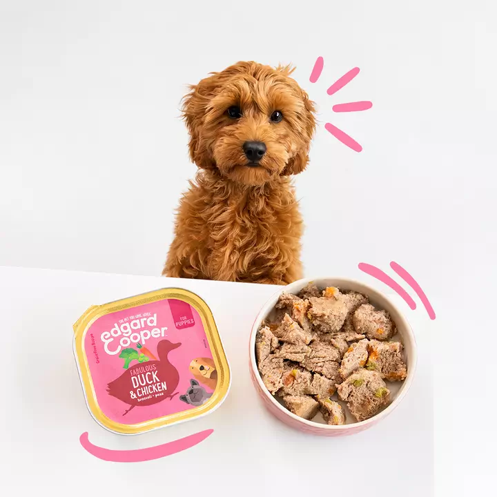 Edgard & Cooper Grain Free Duck & Chicken Puppy Trays - Image 2