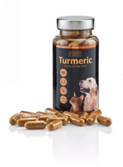 Golden Paste Company Turmeric Capsules For Dogs