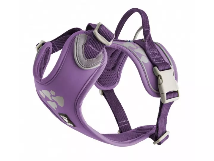 Hurtta Weekend Warrior Currant Dog Harness