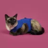 KONG Veterinary Products RECOVA Shirt