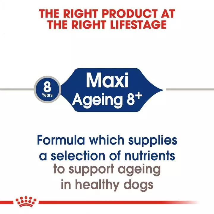 ROYAL CANINĀ® Maxi Ageing 8+ Dog Food - Image 2