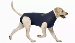 MPS Medical Pet Shirt For Dogs
