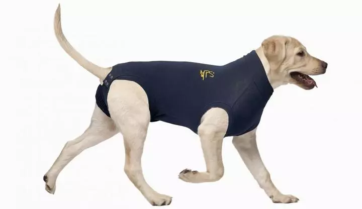 MPS Medical Pet Shirt For Dogs