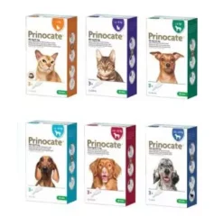 Prinocate Spot-on Solution For Cats And Dogs