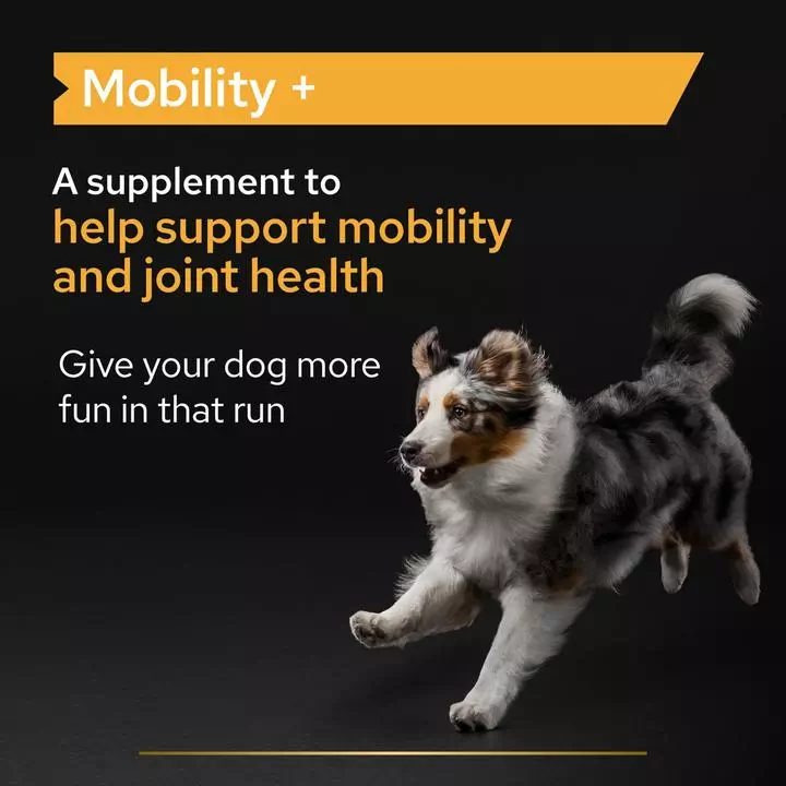 PRO PLAN Dog Adult And Senior Mobility Supplement Powder - Image 3