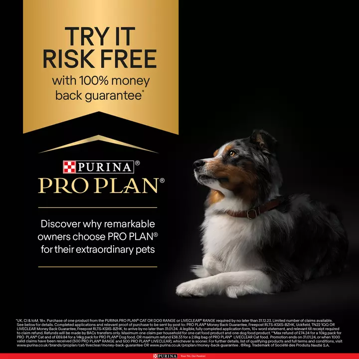 PRO PLAN Dog Adult And Senior Relax Supplement Oil - Image 9