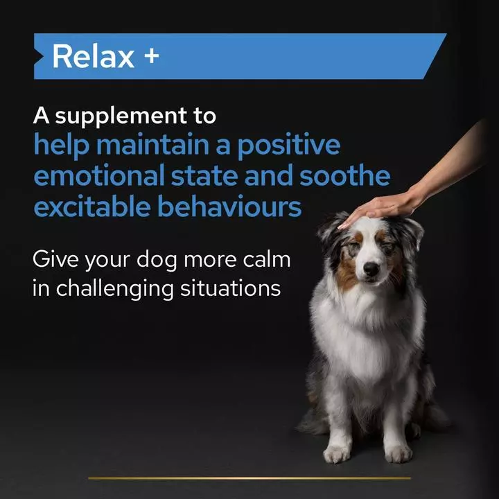 PRO PLAN Dog Adult And Senior Relax Supplement Oil - Image 3