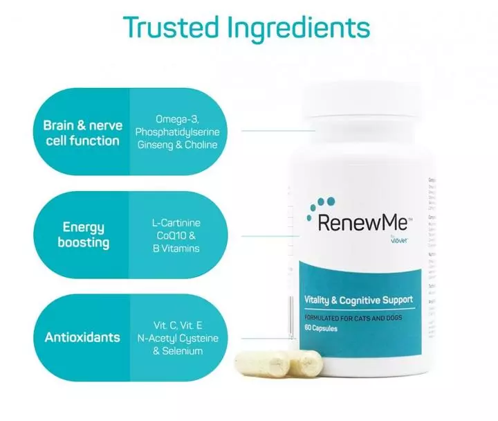 RenewMe™ Vitality & Cognitive Support Capsules For Cats & Dogs - Image 3