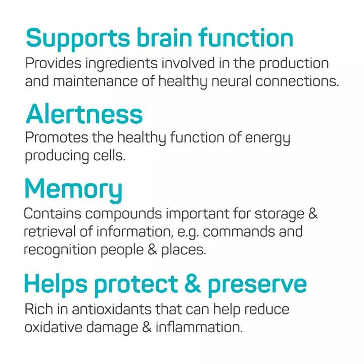 RenewMe™ Vitality & Cognitive Support Capsules For Cats & Dogs - Image 2