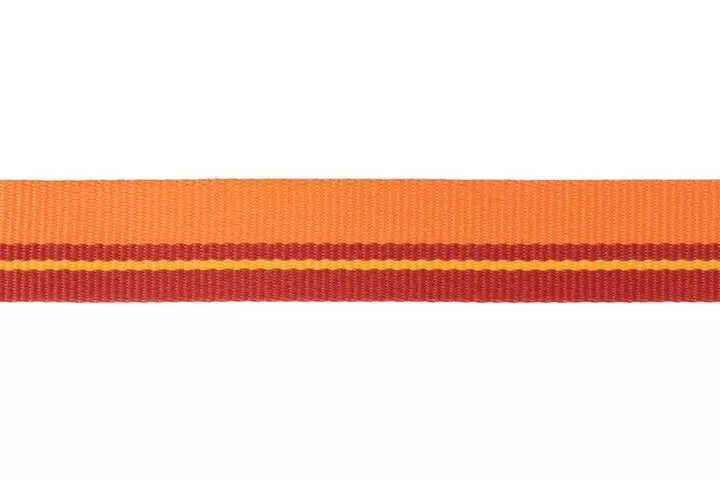 Ruffwear Flat Out Autumn Horizon Leash - Image 3