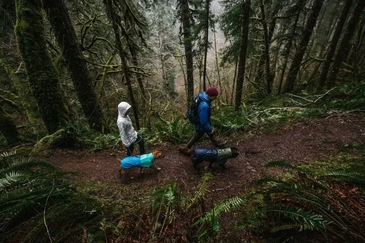 Ruffwear Sun Shower Dog Raincoat Midnight Blue - Image 9