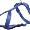 Trixie Premium Y Harness For Dogs 42 Cm/10 Mm Royal Blue