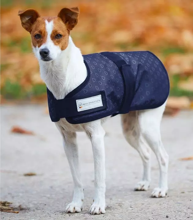 Waldhausen Silver Hearts Outdoor Dog Rug Night Blue