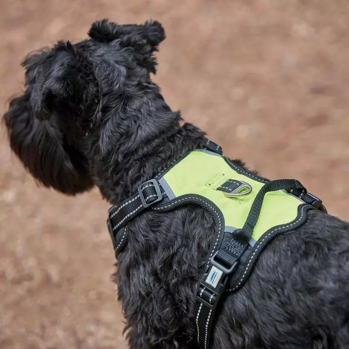 WeatherBeeta Anti Pull/Travel Harness Black/Yellow - Image 3