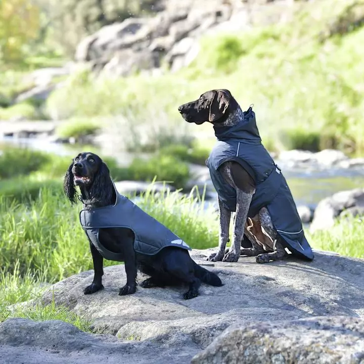 WeatherBeeta Explorer Medium Navy Dog Coat