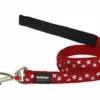 Red Dingo White Stars & Red Dog Lead